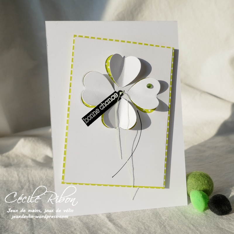 Carte CASology385 - P1210233