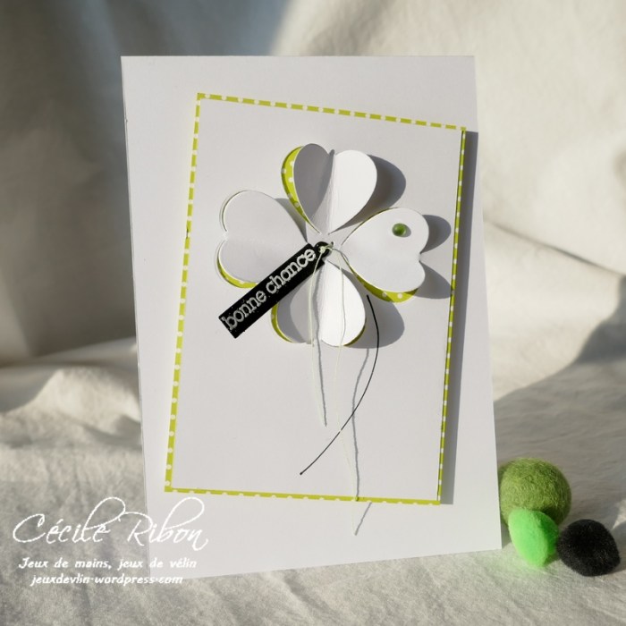 Carte CASology385 - P1210233