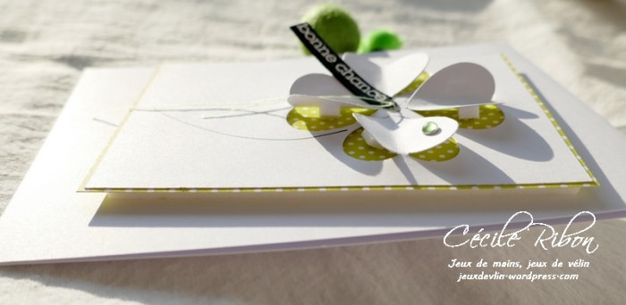 Carte CASology385 - P1210238