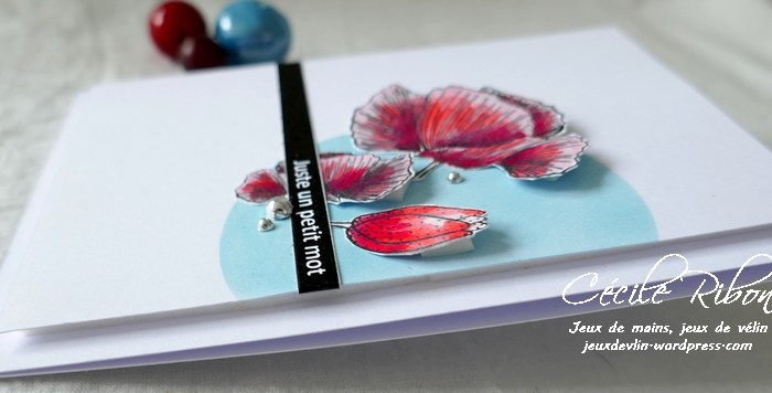 Le Créablablablog #49 : Le sketch &laquo;&nbsp;image&nbsp;&raquo; de&nbsp;Polina.