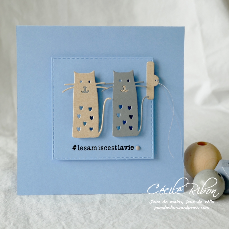 Carte CTD633 - P1210319