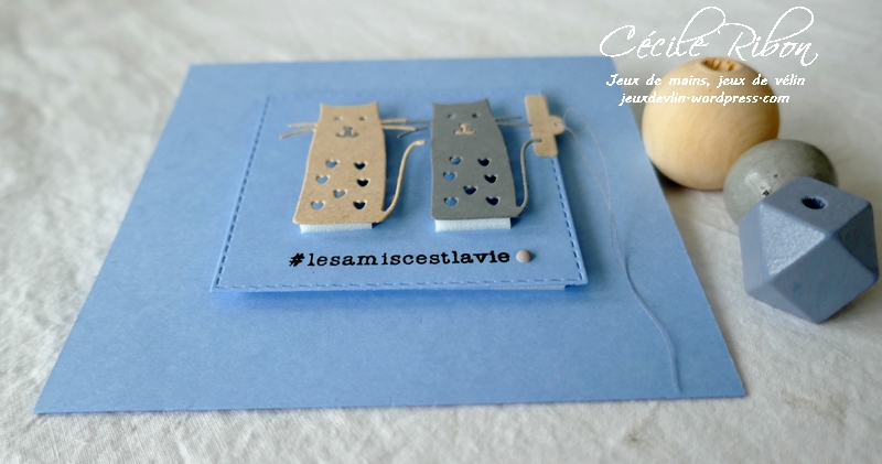 Carte CTD633 - P1210335