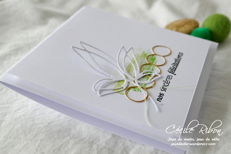 Carte CTD634 - P1210570