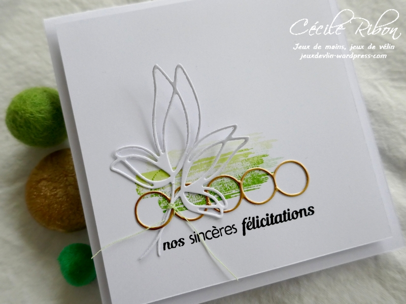 Carte CTD634 - P1210583