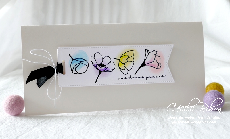 Carte CTD635 - P1210783