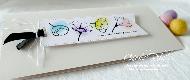 Carte CTD635 - P1210790