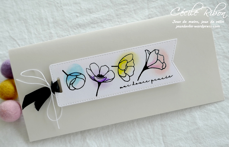 Carte CTD635 - P1210810