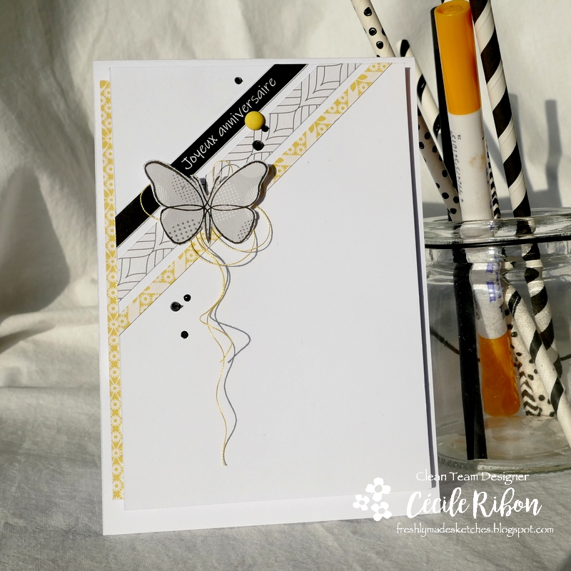 Carte FMS476 - P1210198