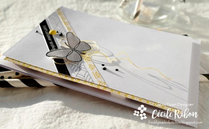 Carte FMS476 - P1210205