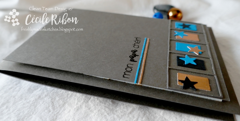 Carte FMS478 - P1210686