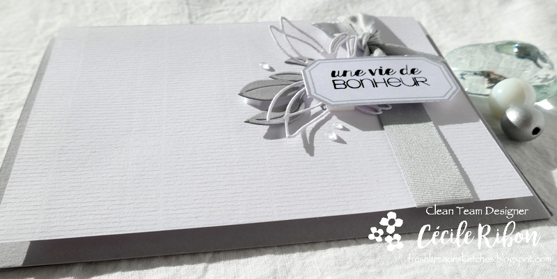 Carte FMS479 - P1210854