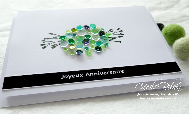 Carte Fusion60 - P1210276