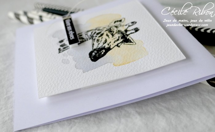 JUST US Girls #574 – Word Week :&nbsp;Animal/Animals