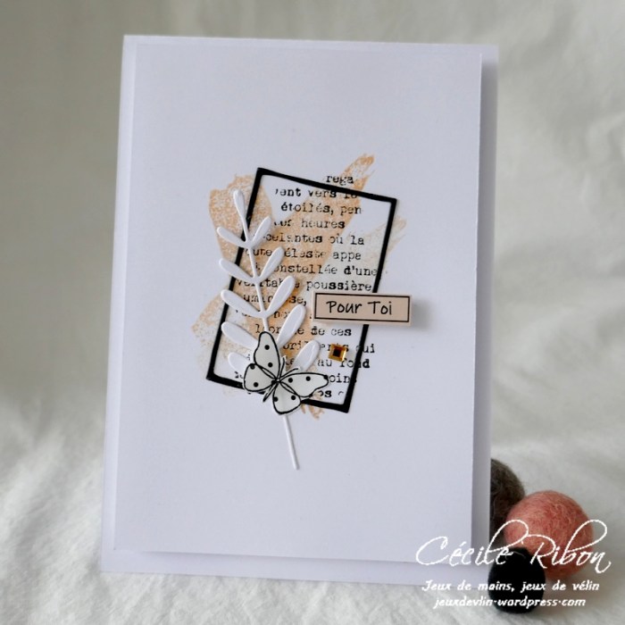 Carte LSMarsBPioche - P1210459