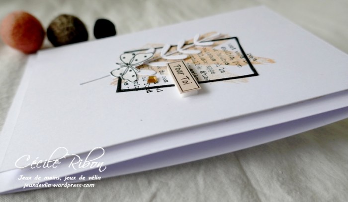 Carte LSMarsBPioche - P1210465