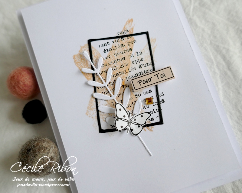 Carte LSMarsBPioche - P1210475