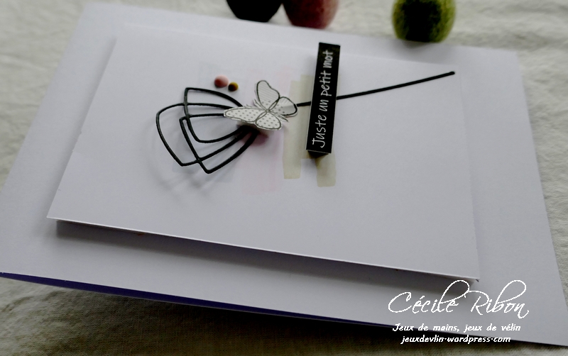 Carte LSMarsCombo1 - P1210031