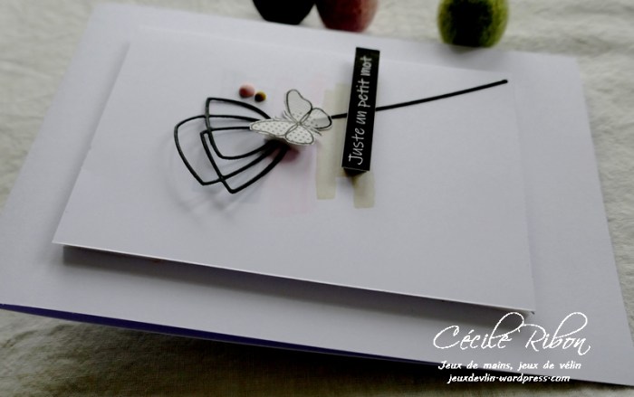 Carte LSMarsCombo1 - P1210031