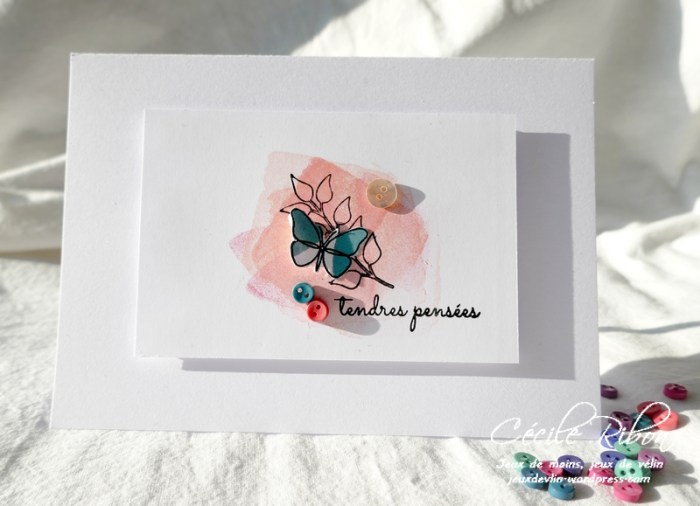 Carte LSMarsConsignes - P1210169