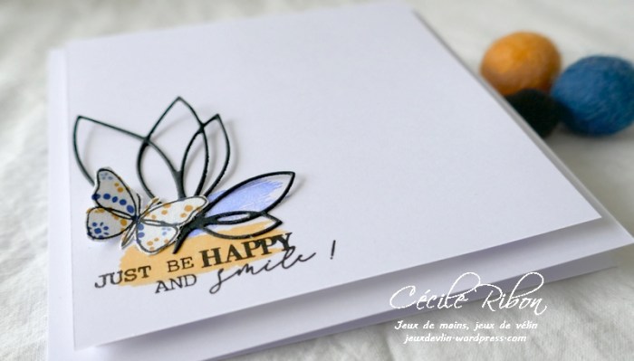 Carte LSMarsC&amp;S - P1210499