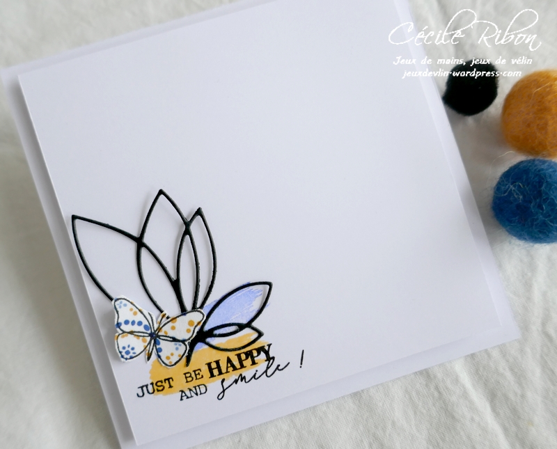 Carte LSMarsC&S - P1210507