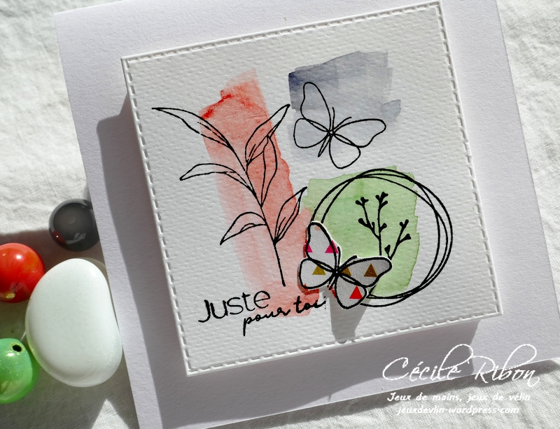 Carte LSMarsInspi - P1210885