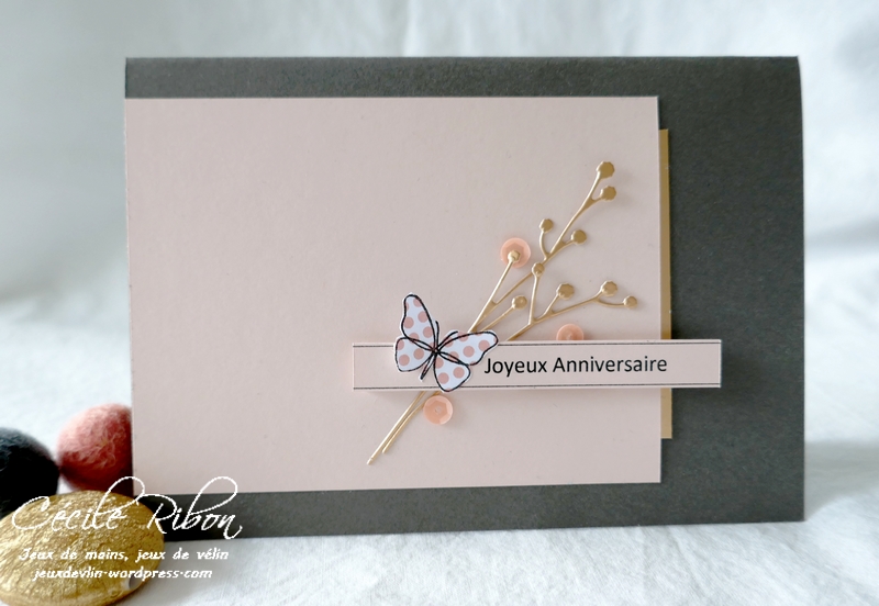 Carte LSMarsSketch - P1210596