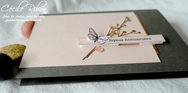 Carte LSMarsSketch - P1210602