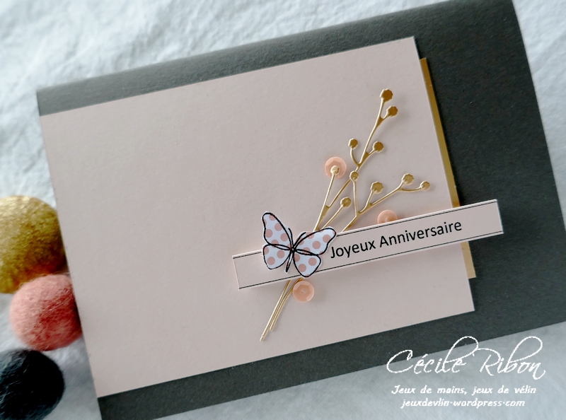 Carte LSMarsSketch - P1210616