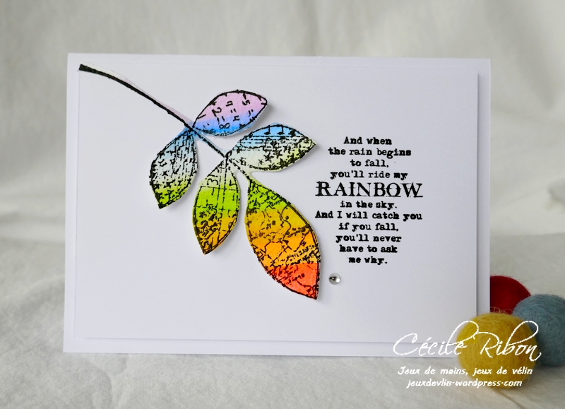 Carte CASology387#1 - P1220037