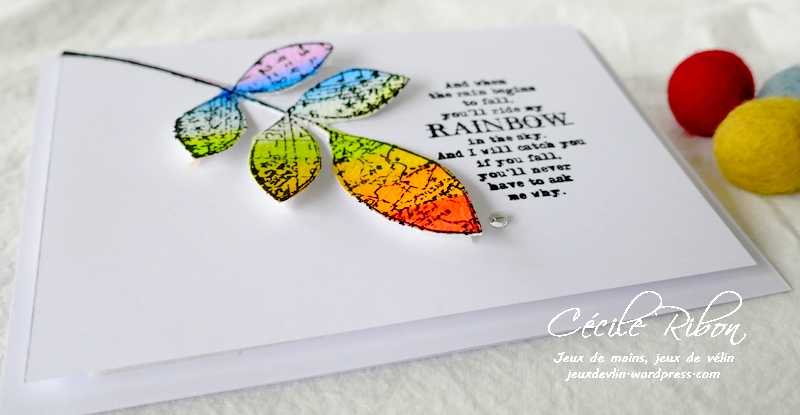 Carte CASology387#1 - P1220040