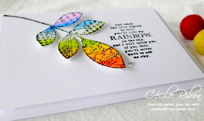 CASology 387 – Comfort