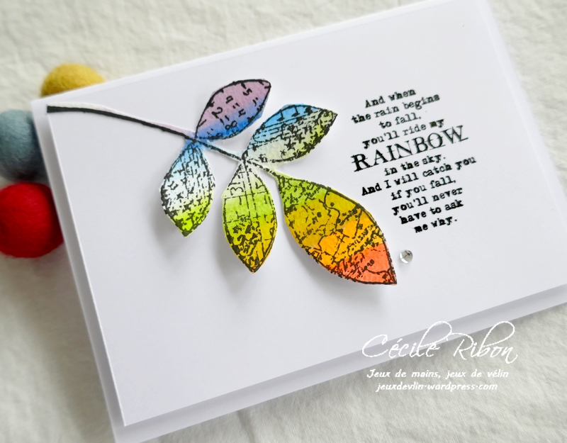 Carte CASology387#1 - P1220050