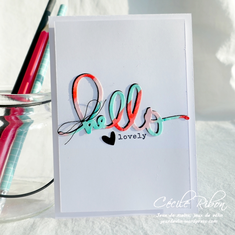 Carte CASology388 - P1220515