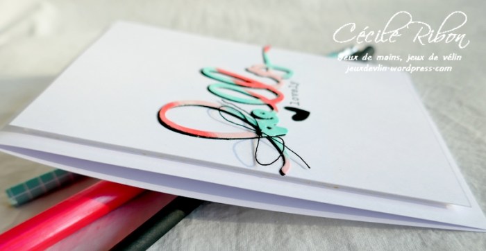 Carte CASology388 - P1220519