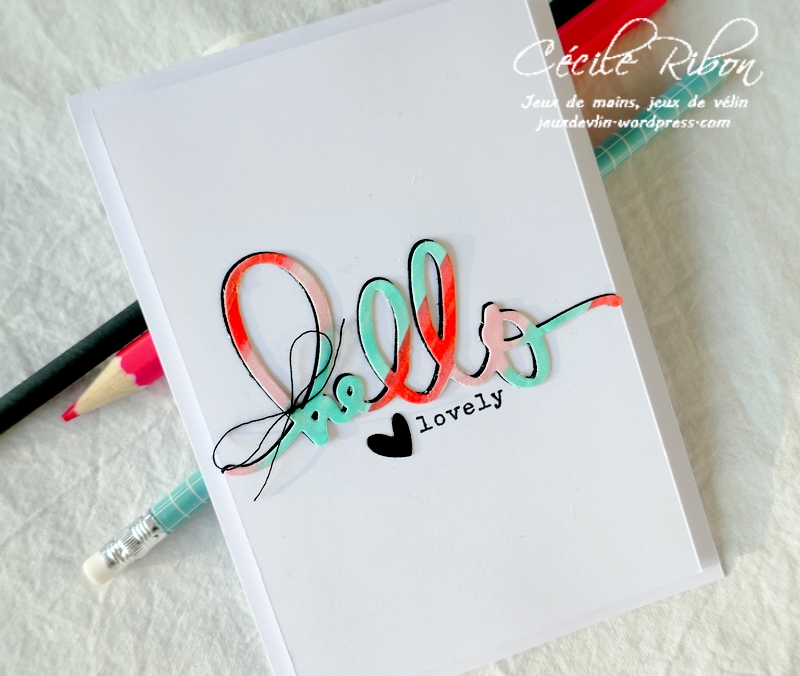 Carte CASology388 - P1220525