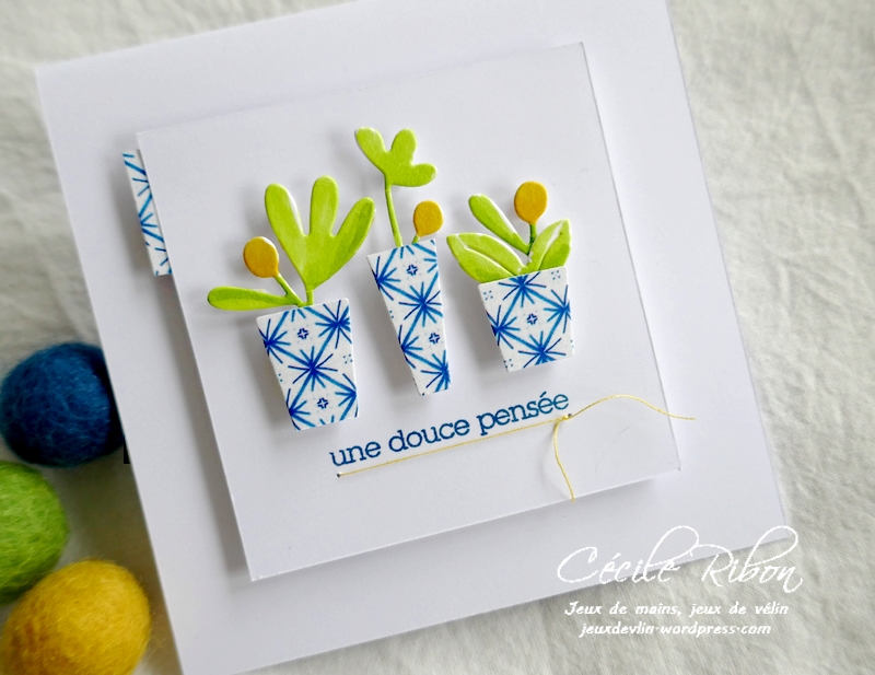 Carte CTD638 - P1220435