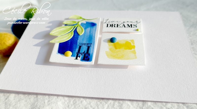 Carte CTD638#2 - P1220449