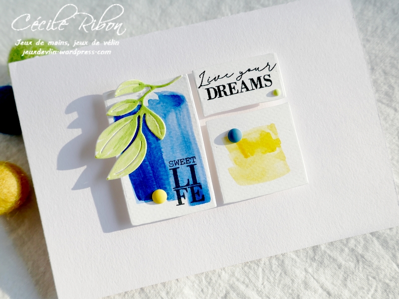 Carte CTD638#2 - P1220454