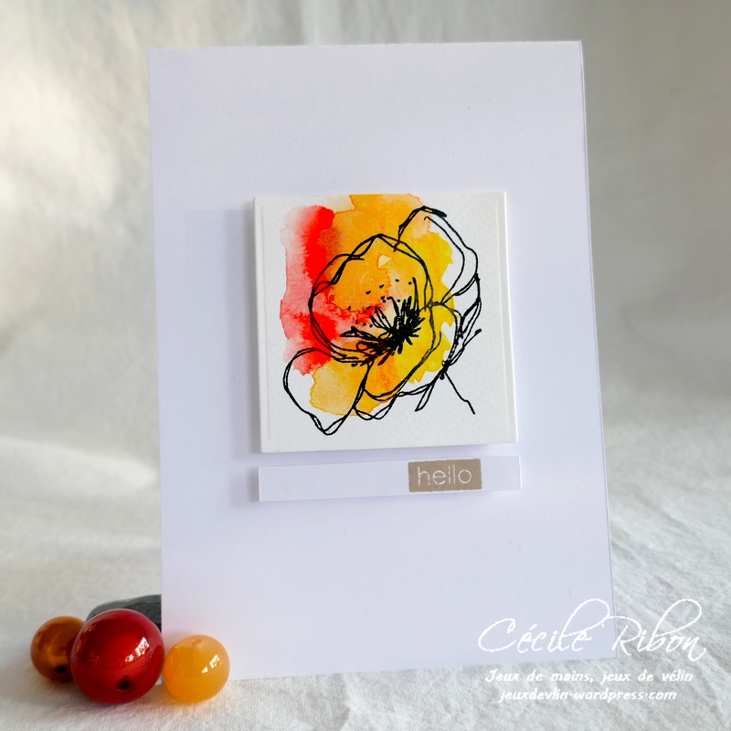 Carte CTD639 - P1220598