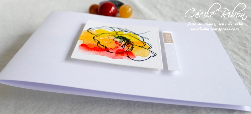 Carte CTD639 - P1220604