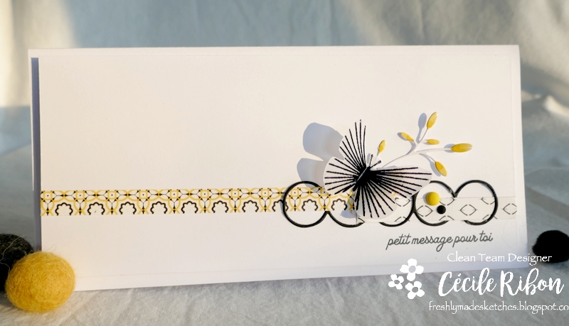 Carte FMS482 - P1220485