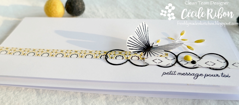 Carte FMS482 - P1220492