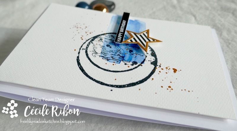 Carte FMS483 - P1220737