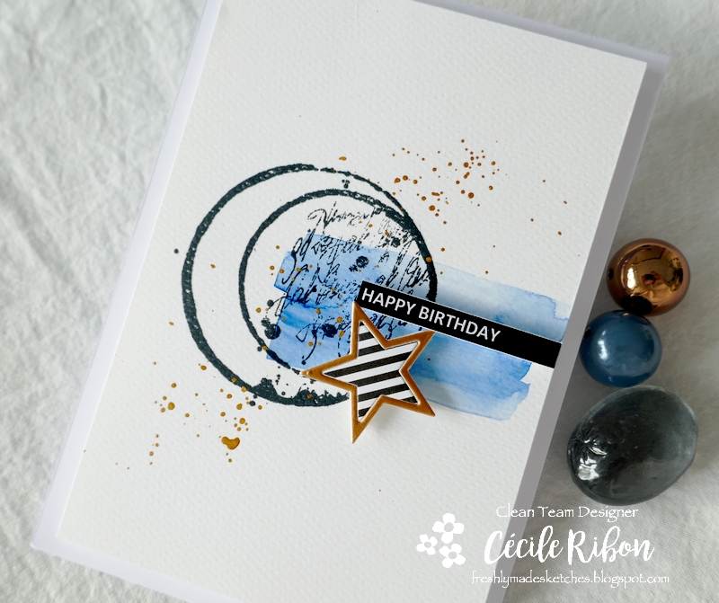 Carte FMS483 - P1220743