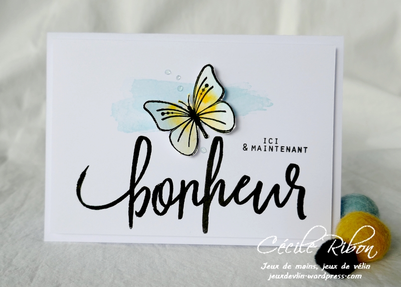 Carte FUSION62 - P1220126