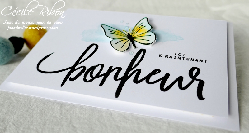 Carte FUSION62 - P1220132