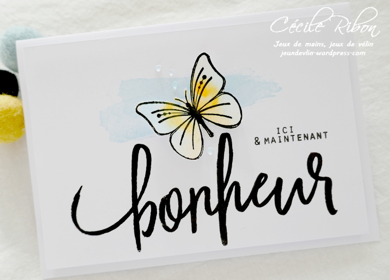 Carte FUSION62 - P1220146