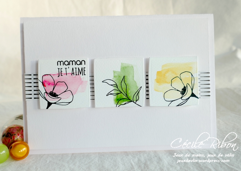 Carte FUSION63 - P1220467