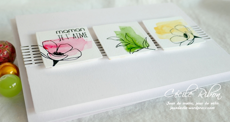 Carte FUSION63 - P1220469